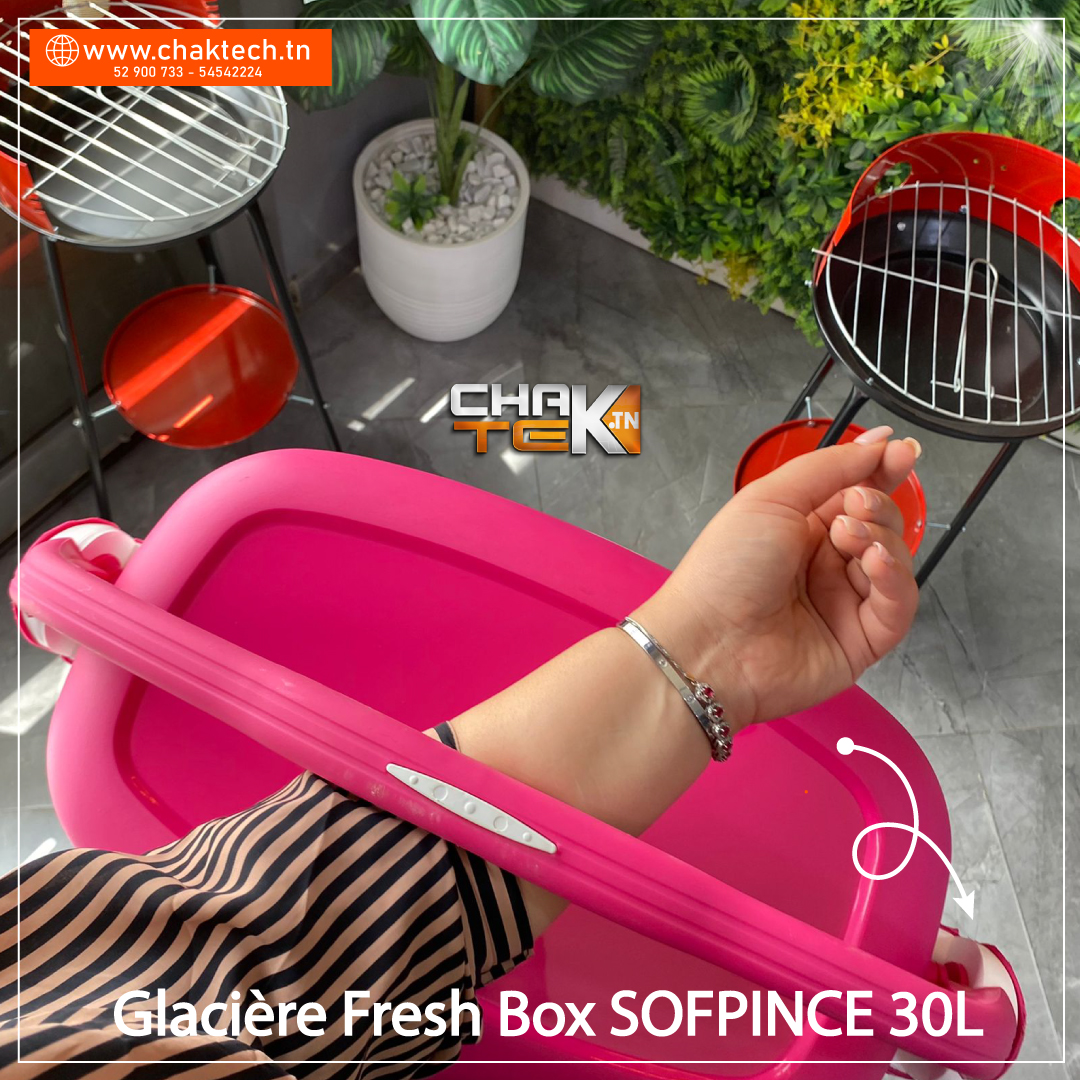 Glacière Fresh Box SOFPINCE 30L — Afficher l'image 4