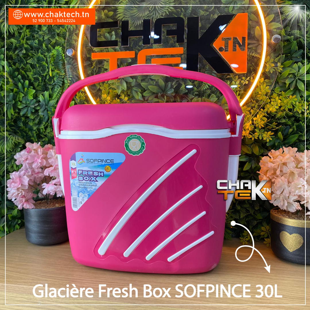 Glacière Fresh Box SOFPINCE 30L — Afficher l'image 5