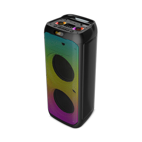 Haut Parleur ZQS-10208