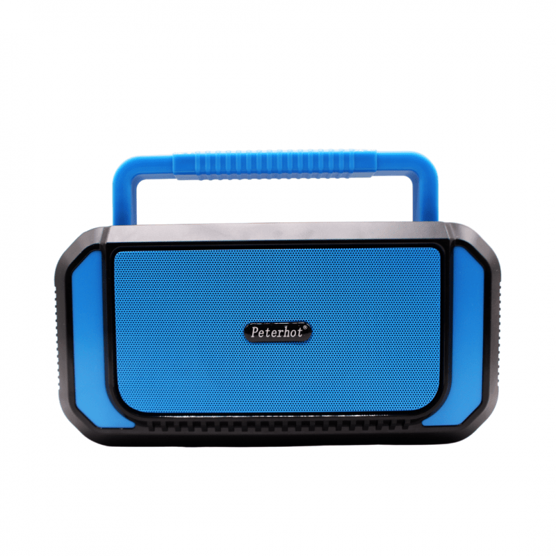 Haut-parleur Bluetooth & Radio FM – PETERHOT PTH-X10