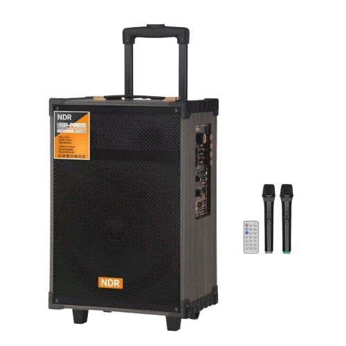 Haut Parleur NDR B-V12