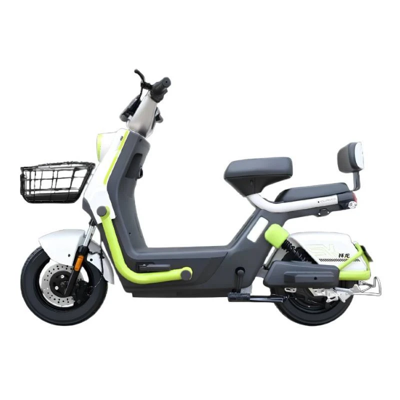 Scooter Électrique Ecoride Alpha 1000W - Vert Pistache