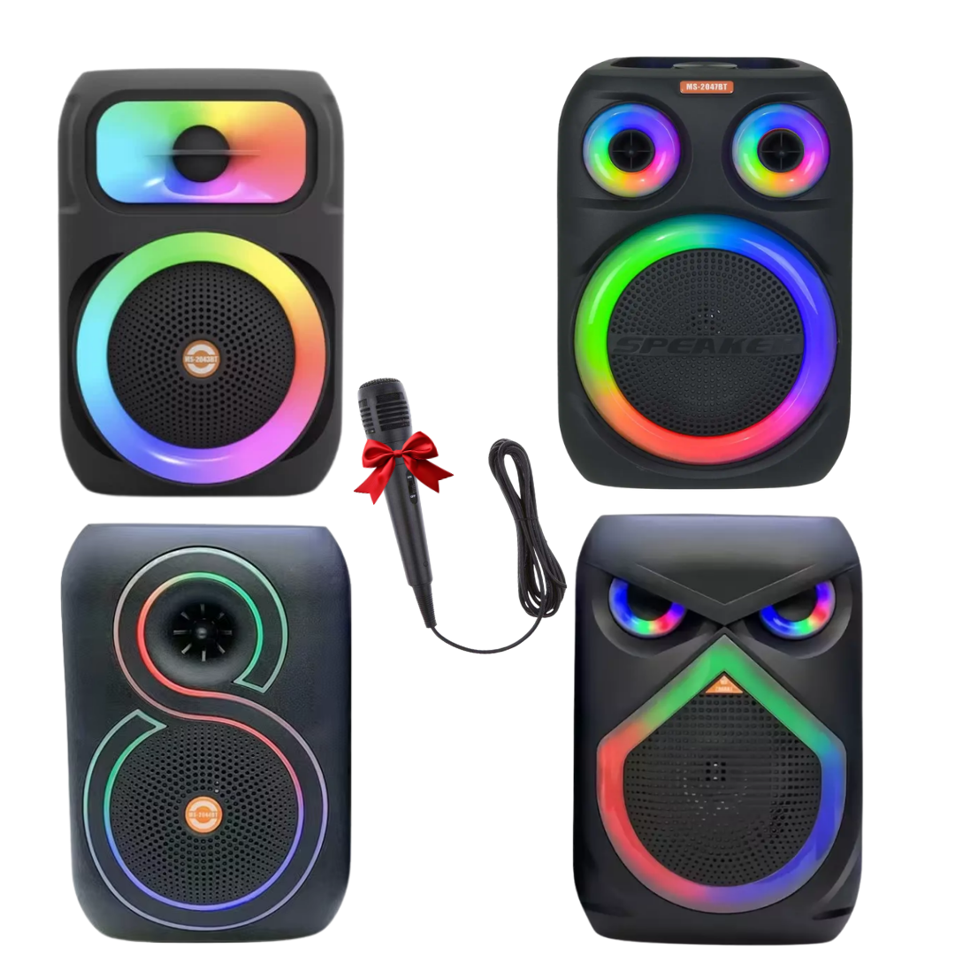 Haut-parleur Bluetooth MS-204 BT