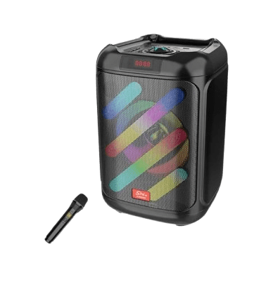 Haut Parleur SING-E ZQS8162