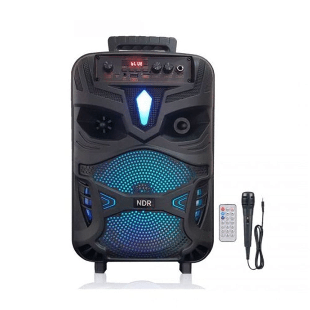 HAUT Parleur Bluetooth NDR P55